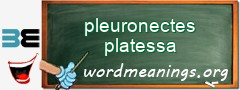 WordMeaning blackboard for pleuronectes platessa